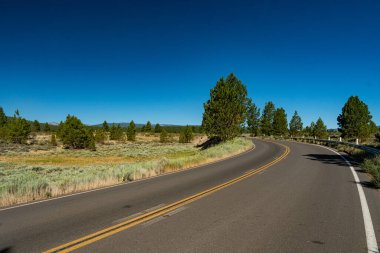 Pine trees in the Sierra Nevada Range of northen California line a bending road through the wilderness.