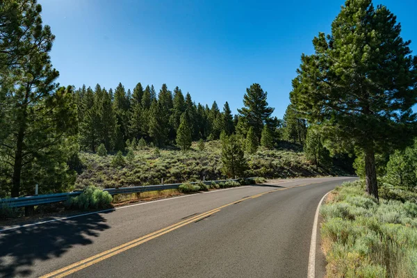 Road Bends Trees Northern California Forest Sierra Nevada Mountains — Stockfoto