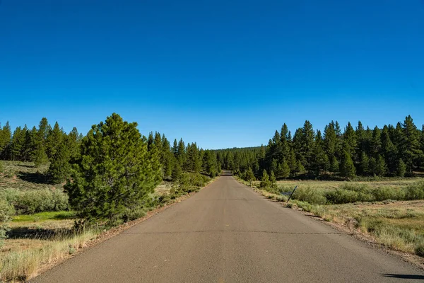 Road Passes Mountain Meadow Sierra Nevada Highlands Northern California — Stockfoto
