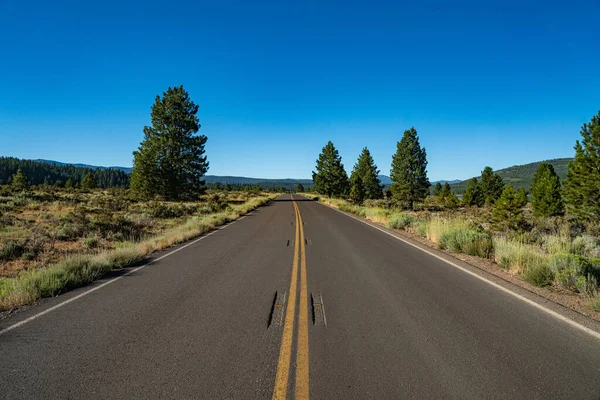 Long Road Leads Straight Wilderness Northern California Woodlands Sierra Nevada — стоковое фото