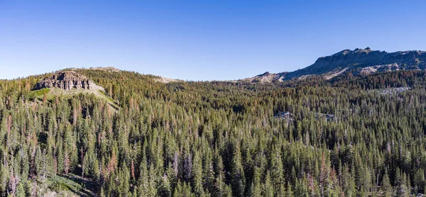 California forest in the Sierra Nevada mountains above Donner Pass.