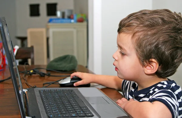 幼児のコンピューターを見て ストック画像
