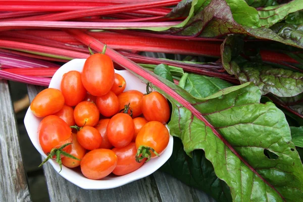 Tomates cereja e acelga suíça — Fotografia de Stock