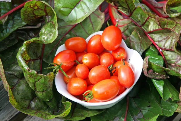 Tomates cereja e acelga suíça — Fotografia de Stock