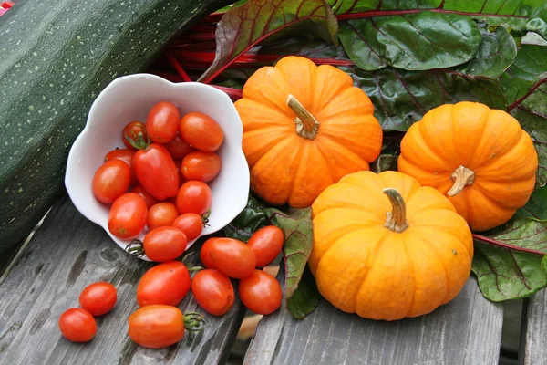 Harvest of autumn vegetables — Stock Photo, Image