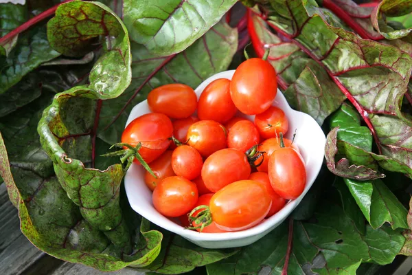 Cherry tomaten en Zwitserse chard Rechtenvrije Stockfoto's