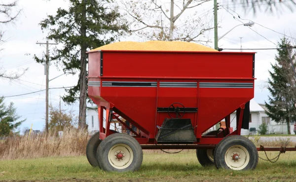 Corn harvest in tractor trailer bin — Stock Photo, Image