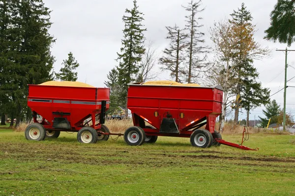 Corn harvest in tractor trailer bin with wheels — Stock Photo, Image