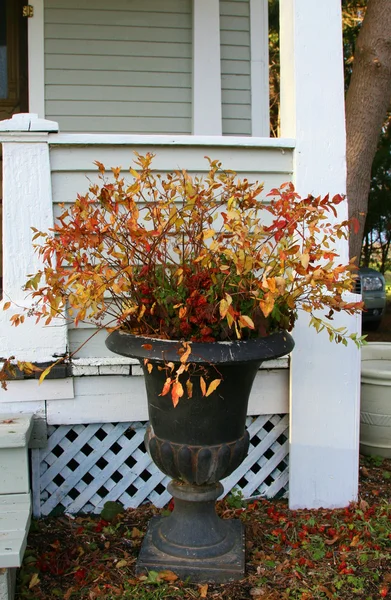 Svart urna dekorerad med hösten grenar och bär — Stockfoto