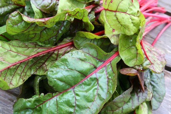 İsviçre Chard