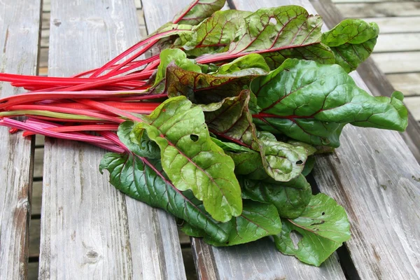 Kırmızı swiss chard kaynaklandığını