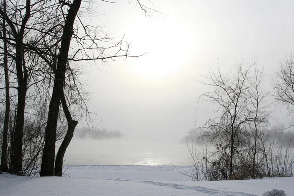 Cena de inverno com neve e nevoeiro no lago — Fotografia de Stock