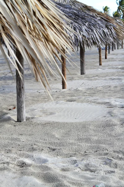 Schöner Strand mit Strohschirmen — Stockfoto