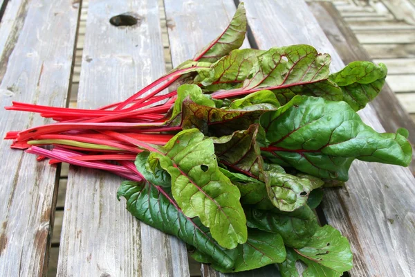 İsviçre Chard