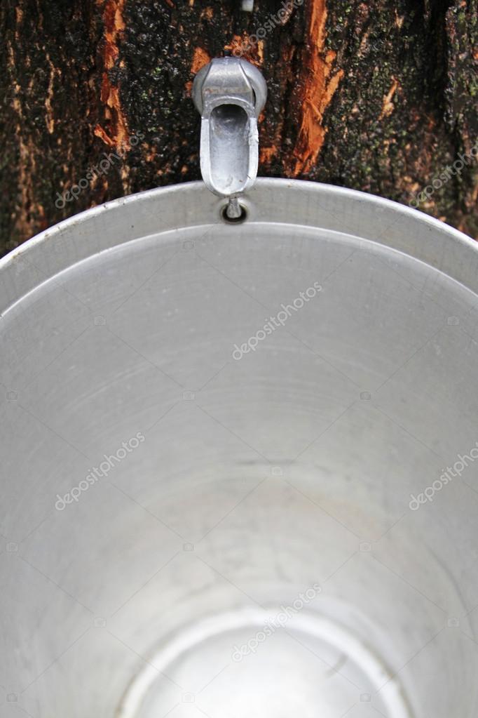 Maple sap bucket with a spigot — Stock Photo © Nadine123 44852515