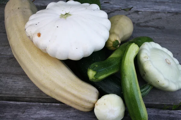 Patty pan squash and zucchini — Stock Photo, Image