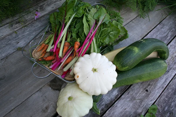 Calabacín, calabaza, zanahorias, acelga — Foto de Stock