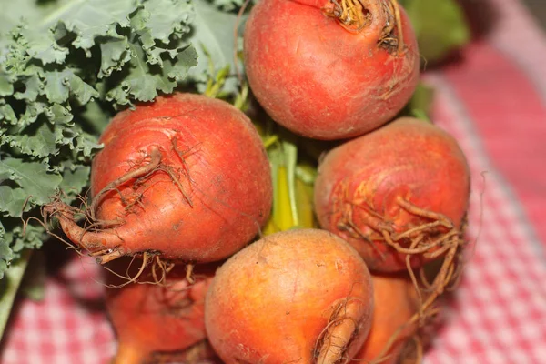 Frische Orangenrüben Mit Grünkohl Auf Kariertem Handtuch — Stockfoto