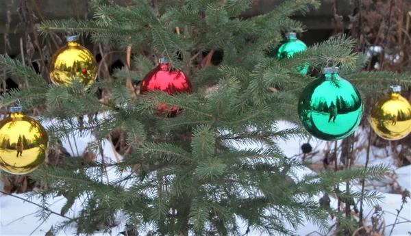 Farbenfroher Weihnachtsschmuck Hängt Nadelzweigen Eines Baumes Freien — Stockfoto