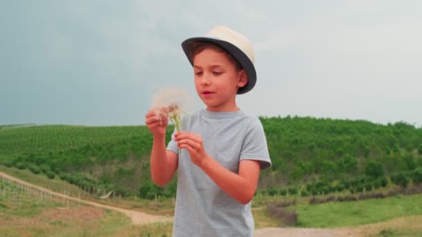 Αγόρι Καλοκαιρινό Καπέλο Φυσάει Ένα Μεγάλο Πικραλίδα Κινηματογραφημένο Μια Εξοχή — Αρχείο Βίντεο