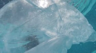 Siyah mayo giymiş genç bir kadın ve açık havada yüzme havuzunda mavi fayanslarla süslenmiş beyaz bir pelerin yüzüyor..