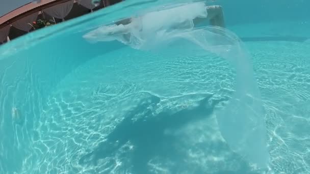 Молодая Женщина Черном Купальнике Белом Плаще Плавает Открытом Бассейне Украшенном — стоковое видео