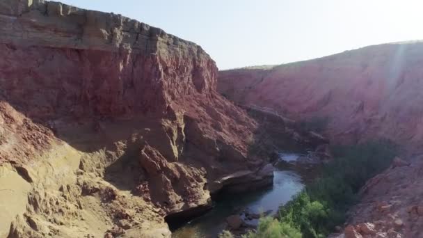 River Flowing Gorge Desert Flock Sheep Came Watering Place Filmed — Stock Video