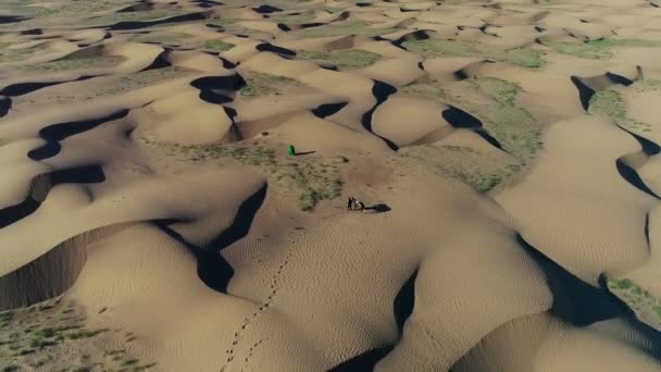 People Walking Dunes Desert Spring Filmed Drone Aerial View — Stockvideo