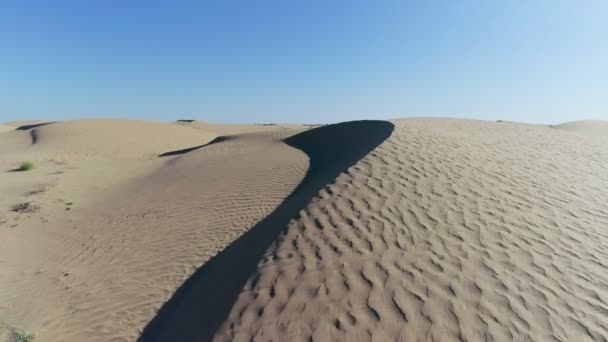 Deserto Primavera Dune Con Erba Rara Girato Drone Vista Aerea — Video Stock