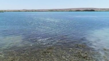 Drone kamerası çölün ortasında göl sularının üzerinde uçuyor.
