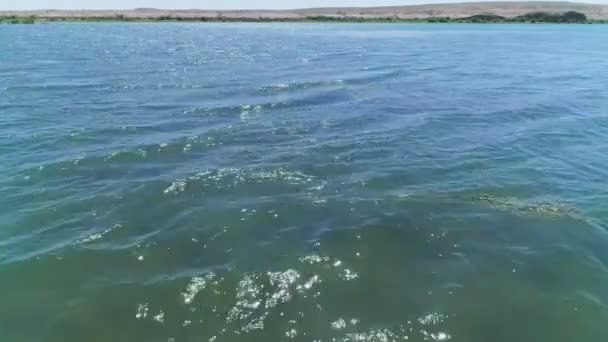 Drone Cam Voa Acima Das Águas Lago Meio Deserto Vista — Vídeo de Stock