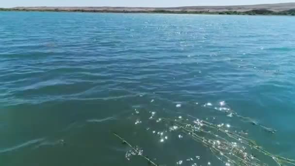 Drone Cam Voa Acima Das Águas Lago Meio Deserto Vista — Vídeo de Stock