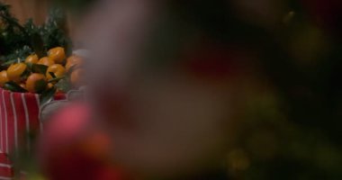 Noel ağacının yanında güzel kırmızı beyaz bir kutuda mandalinalar, yavaş çekimde.