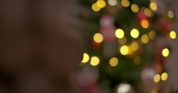 Flashing Christmas Garland Filmed Out Focus Slow Motion — Stockvideo