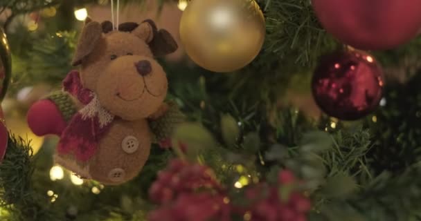 Closeup Toy Bear Hanging Christmas Tree Slow Motion — Stockvideo