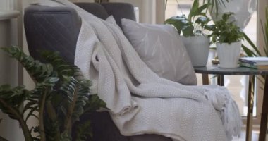 Corner of leaving room with two dark violet armchairs and round coffee table on which plants in pots and books are placed. There are a lot of evergreen plants in the pots in other places. Glass door