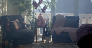 Corner of leaving room with two dark violet armchairs and round coffee table on which plants in pots and books are placed. There are a lot of evergreen plants in the pots in other places. Glass door