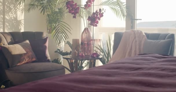 Corner Leaving Room Two Dark Violet Armchairs Coffee Table Which — Videoclip de stoc