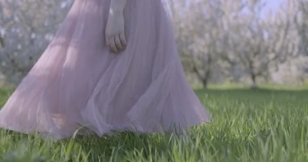 Dziewczyna Przewiewnej Różowej Sukience Spaceruje Gęstej Zielonej Trawie Spaceruje Jabłkowych — Wideo stockowe