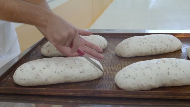 Gotowe Pieczenia Holenderskie Pieczywo Rodzynkami Punktowane Przez Piekarza Nożem Kuchennym — Wideo stockowe