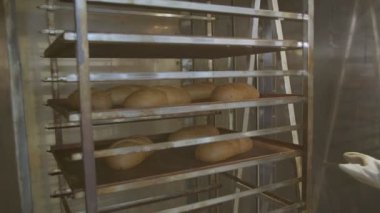 Cart with fresh baked raisin bread is taken out of the oven woman baker dressed in white. Camera films from side-back