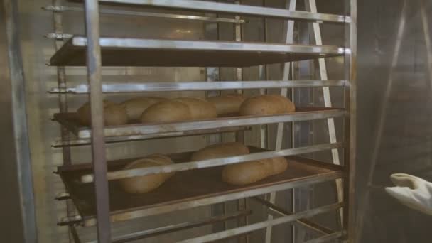 Cart Fresh Baked Raisin Bread Taken Out Oven Woman Baker — Stockvideo