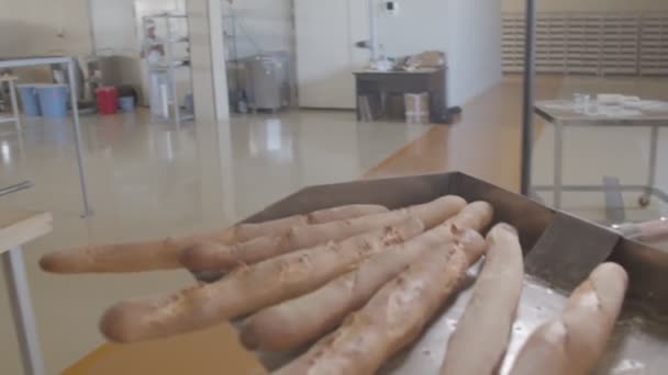 Cart Fresh Baked Raisin Bread Taken Out Oven Woman Baker — Stok video