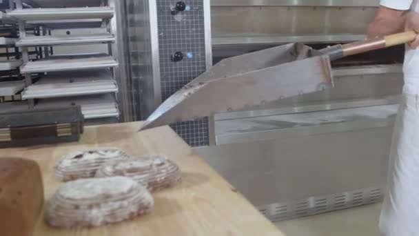 Корзина Свежим Хлебом Изюма Достают Пекарни Пекаря Одетого Белое Видеокамеры — стоковое видео
