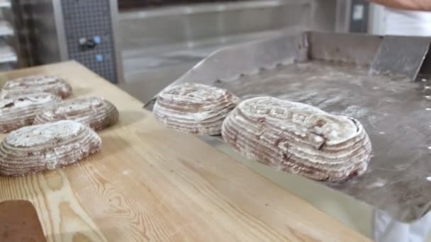 Cart Fresh Baked Raisin Bread Taken Out Oven Woman Baker — Vídeos de Stock