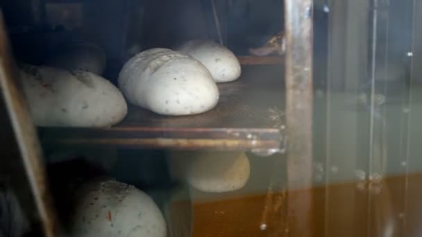 烤盘上有干杏仁面包的莱辛面包在一个大烤箱里旋转着 — 图库视频影像