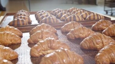 Fresh baked long baguette breads lie on the wooden table sprinkled with flour in a pile. Slow motion