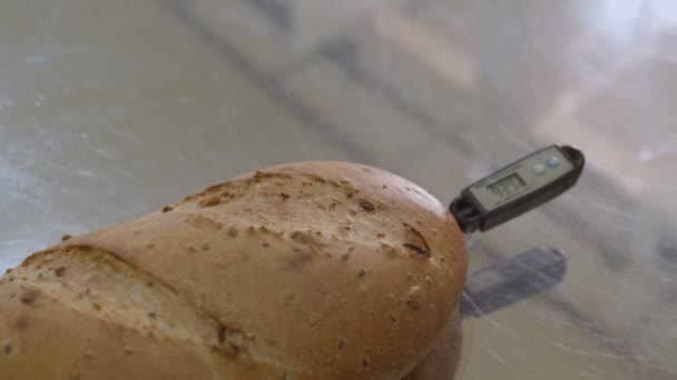 Culinary Thermometer Stuck Freshly Baked Bread Lies Metal Surface Display — Stock Video