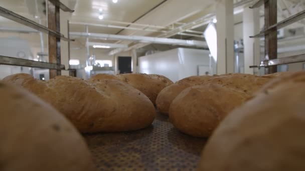 Pro Kamera Kerül Sütőtálcára Mozgó Kocsi Friss Sült Kenyér — Stock videók