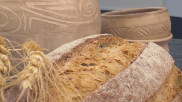 Close Fresh Baked Whole Grain Bread Move Slow Motion Ready — Stock videók